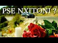 Download Lagu Jonald Haxhia - Pse Nxitoni ? (Official Video) 4K