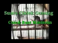 Download Lagu Terapi Suara Cigun Ngebren Cocok Buat Masteran 1 Jam Full
