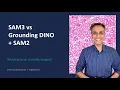 07-SAM3 vs Grounding DINO SAM2 - which wins for scientific images