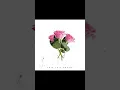 Download Lagu Erik Luiz Pavan - Roses