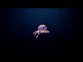 PLUSPORTALS TUTORIAL