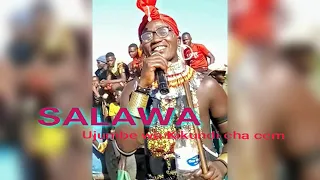 salawa ujumbe wa kikundi cha ccm