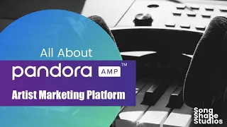all about pandora amp