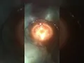Cracking A Ring World - Stellaris