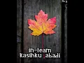 Kasihku Abadi-In team