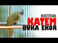 Download Lagu MASTERAN KAPAS TEMBAK GACOR BUKA EKOR