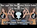 Download Lagu DJ BOS LAPOR BOS IKAN GABUS DALAM EMBER DJ GARAM CINA VIRAL TIK TOK