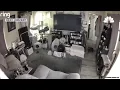Download Lagu WATCH: Mom grabs baby, cat reacts to large earthquake in San Diego area