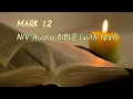 Mark 12 NIV BIBLE with text