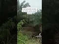 Video Suara Asli Nenek Kau Solo Lord Pakek Estes 🗿#shorts #memes