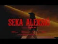 Download Lagu Seka Aleksic - Otrovnica Mix | Official Video (Remake 2025)