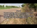Man Finds Teen s Body Near Road in Hidalgo Co