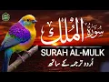 Lagu Surah Al-Mulk | Beautiful \u0026 Soul-Touching Recitation with Urdu Translation | Voice: Qari Mansoor