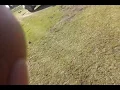 Isuzu vs toyota hilux