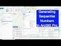ArcGIS Pro Generating Sequential Numbers Organizing data efficiently