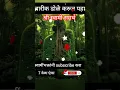Download Lagu स्वामींभक्तांनी subscribe करा 🙏 #viral #hinduguru #shortsfeed #swamisamarth