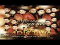 Muchas Gracias-Banda San Jose De Mesillas(Voz De Claudio Alcaraz)