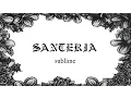 Download Lagu Sublime - Santeria [Lyrics Sub Español/English]