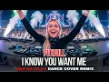 Download Lagu Geo Da Silva \u0026 Canello - I Know You Want Me, Calle Ocho(Pitbull - Balkan Dance Cover 2025) radio mix