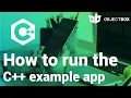 Running the C example app with sync