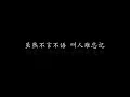 你的眼神 蔡琴  (歌词版)