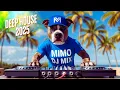 Download Lagu MIMO MIX MEIA HORA DE MÚSICA SEM PARAR