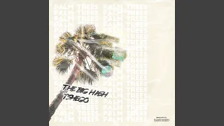 palm trees