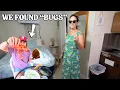 Download Lagu STAYING AT THE CHEAPEST MOTEL IN COASTAL MAINE (HORRIBLE REVIEWS)