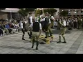 Lagu Austrian folk dance: Schuhplattler