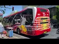Download Lagu Buses in Surabaya, Indonesia 2024 (2nd Largest City in Indonesia) - Suroboyo Bus