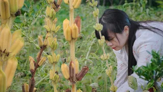 【二米炊煙】Sesame 拍盡芝麻一生，才懂香油裏的千年古法與萬般滋味