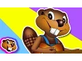 Download Lagu Beavers Are My Friends - Music for Kids