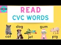 Read CVC Words Guided and Independent Practice Short Vowels Kindergarten First Grade