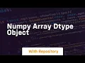 numpy array dtype object