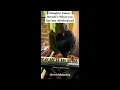 Jason Derulo Whatcha Say Afrobeat Remix