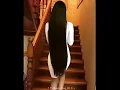 Update Logest hair in the world!