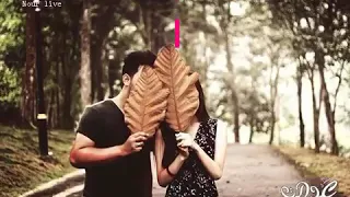 كاظم الساهر    حبيبتي مرت على بالي    دندنها