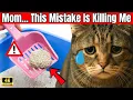 BIGGEST Litter Box Mistakes 99 Cat Owners Make Everyday