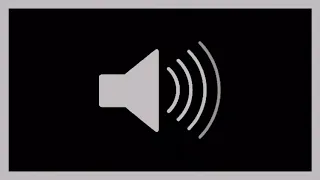 FBI Breaks Into Home Sound Effect 