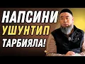 Lagu НАПСИНИ УШУНТИП ТАРБИЯЛА! НАПСИ БУЛ ЖЕКЕ КАЛОО! ЖЕКЕ КААЛООНДУ ТАРБИЯЛА!