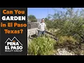 Landscaping and Gardening in El Paso Texas Is It Even POSSIBLE