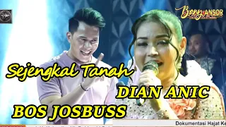 sejengkal tanah dian anic bos josbus anica nada 01 juli 2024 kluwut bulakamba brebes