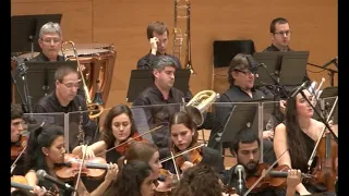 tossudament llach cal que neixin flors a cada instant medley 