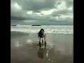 Samantha - WillyLancien