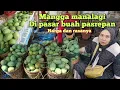 LIHAT HARGA MANGGA MANALAGI DAN RASANYA DI PASAR BUAH PASREPAN KABUPATEN PASURUAN JATIM