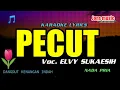 Lagu KARAOKE DANGDUT || PECUT ||  ELVI SUKAESIH || NADA PRIA