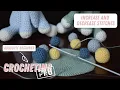 Absolute Beginner to Crochet Pro Increasing and Decreasing stitches