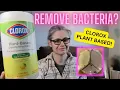 Clorox Plant Based Disinfecting Wipes Tested Do they Remove Bacteria in My Home