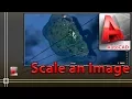 Autocad - How to Scale an image to its real size Easy