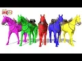 Download Lagu Learn Colors With Horses || ChuChu Super Kids